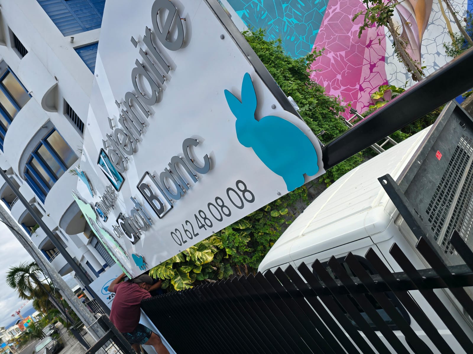 Enseigne clinique du chat blanc 2